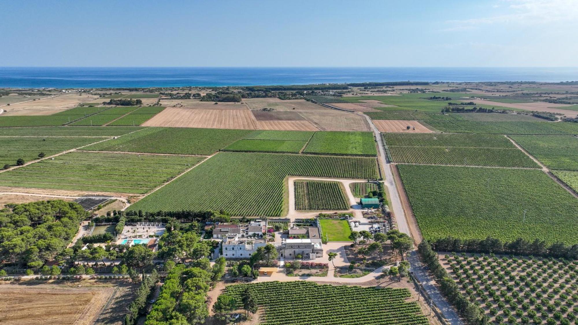 Emera Wine Resort By Raro Villas Lizzano (Apulia) Exterior foto